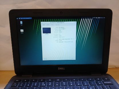 Picture of DELL CHROMEBOOK 3100 with LINUX LAPTOP